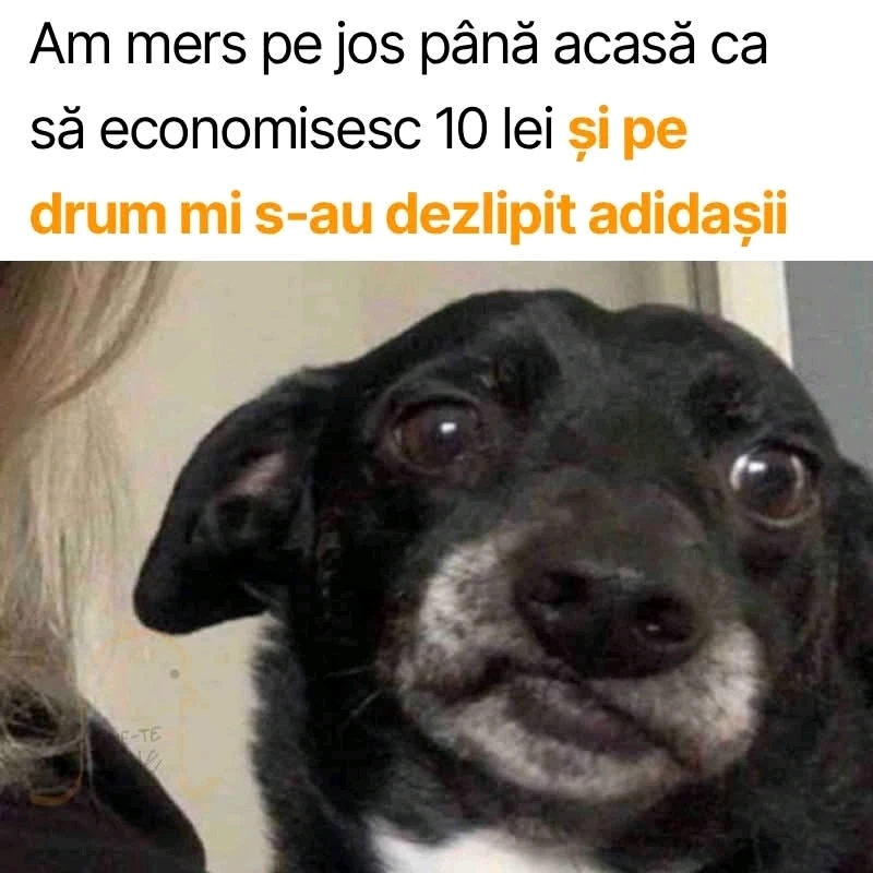 GIF încărcat de Andrei