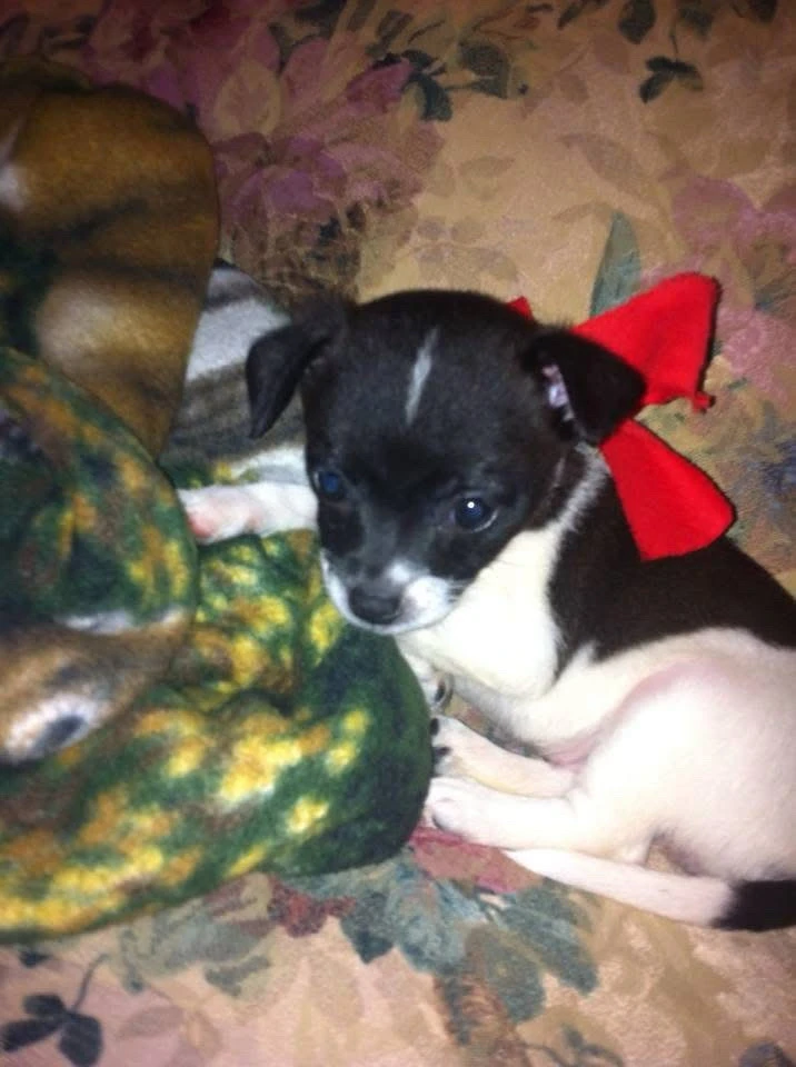 Image uploaded by Laynee