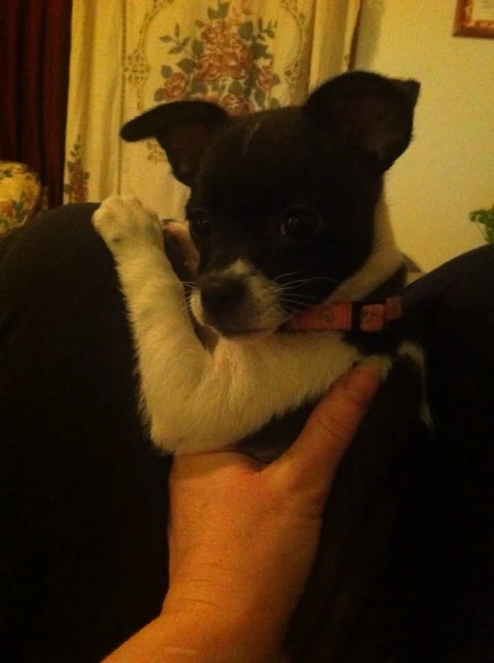 Image uploaded by Laynee