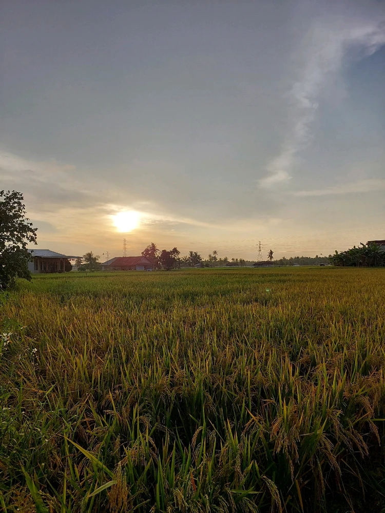 I-upload ni Yanti ang larawan