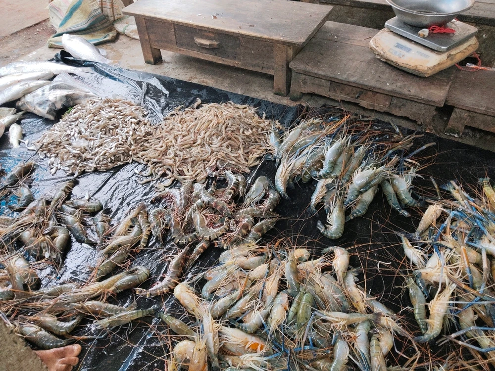 Image uploaded by Swspnadeep