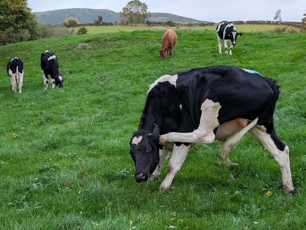 GIF uploaded by Graeme