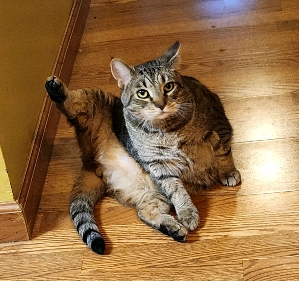 Everyone meet Cinderblock!