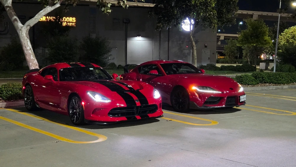 Mr Snake 🐍 made a new friend