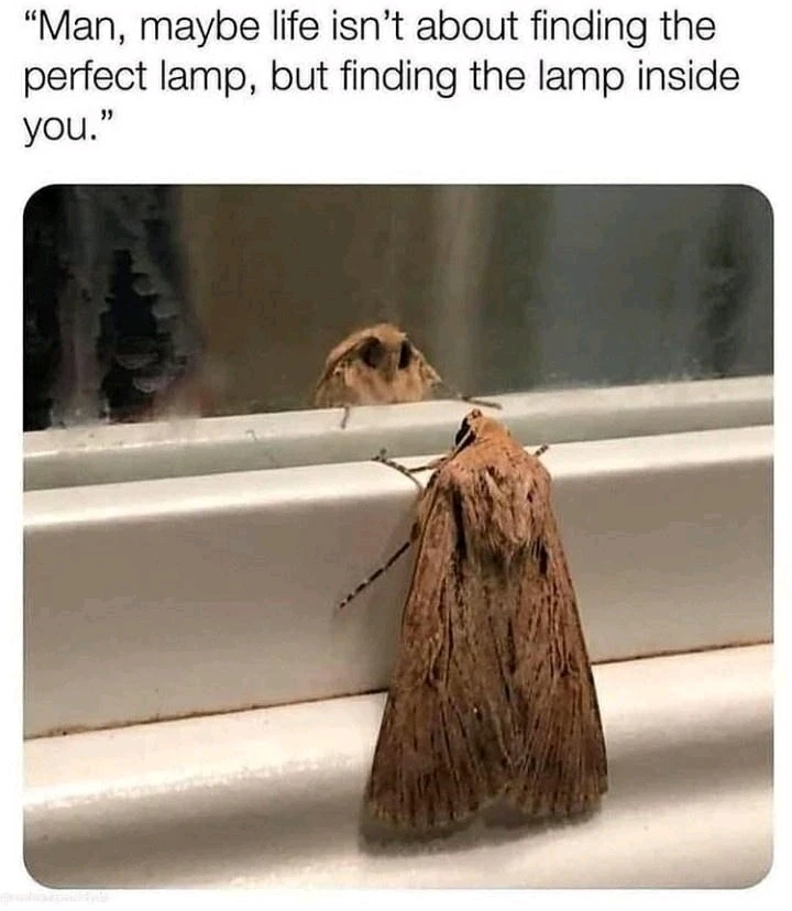 The lamp inside all of us