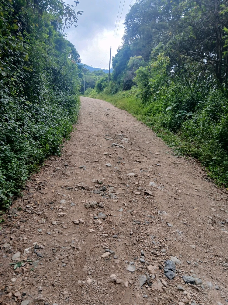 GIF uploaded by Mary