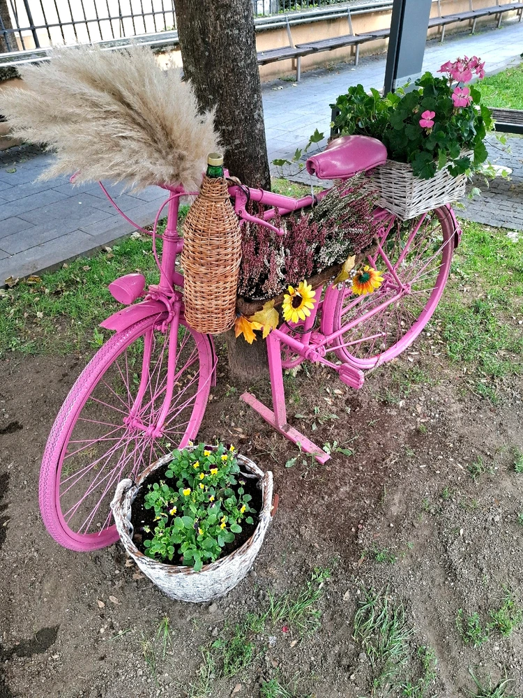 Image uploaded by Angelo