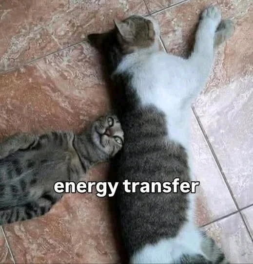 GIF otpremio/la Đorđe