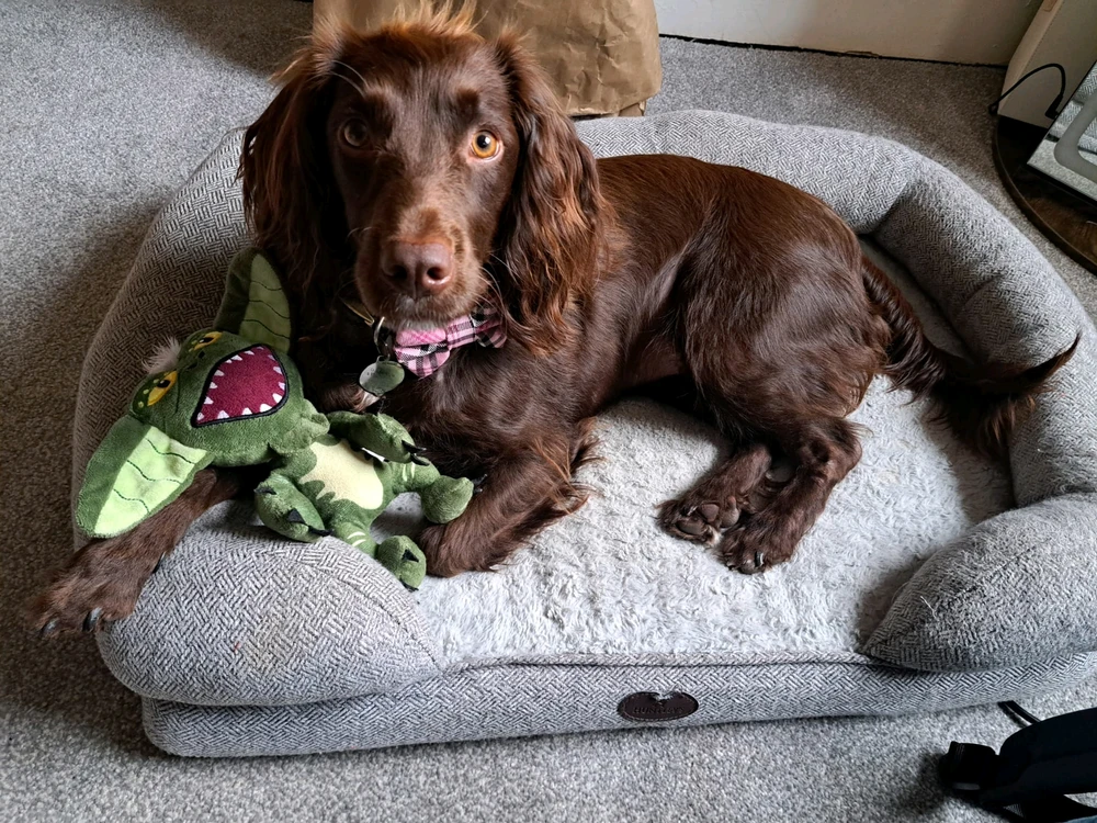 GIF uploaded by Dave