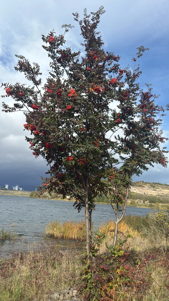 Obrázek nahrál Martin