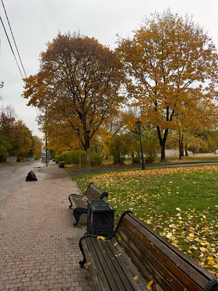Фото загрузил Tanya