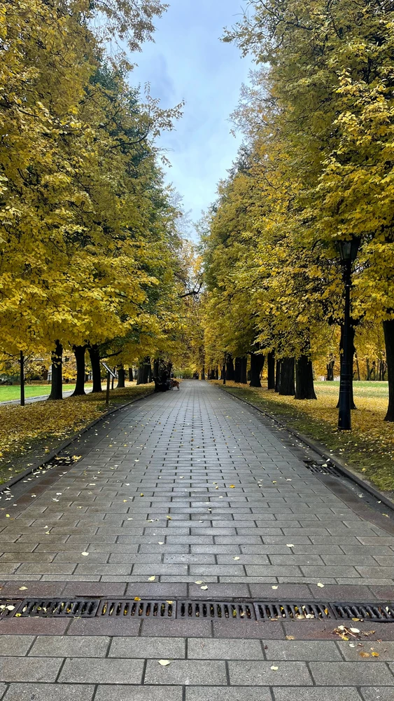 Фото загрузил Tanya