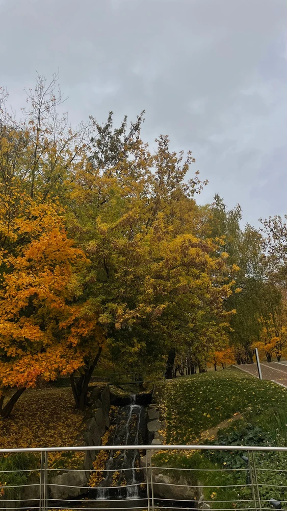 Фото загрузил Tanya