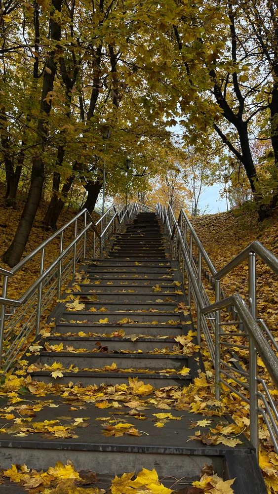 Фото загрузил Tanya