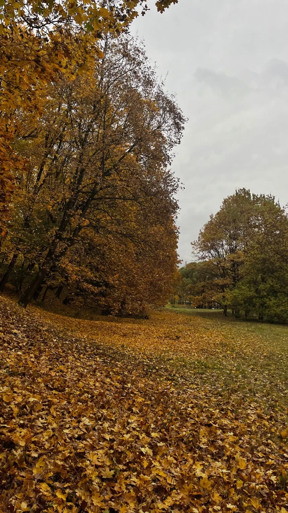 Фото загрузил Tanya
