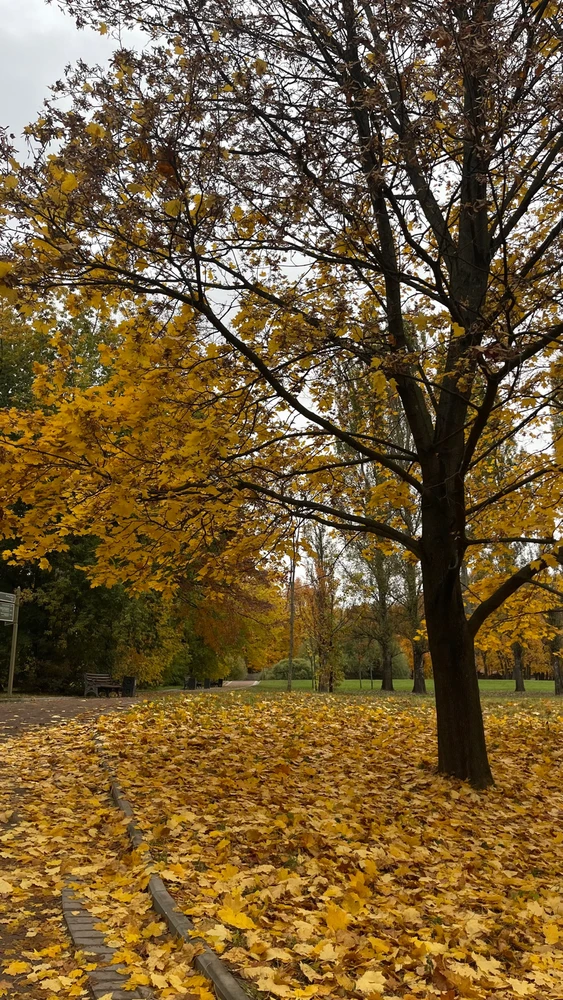 Фото загрузил Tanya