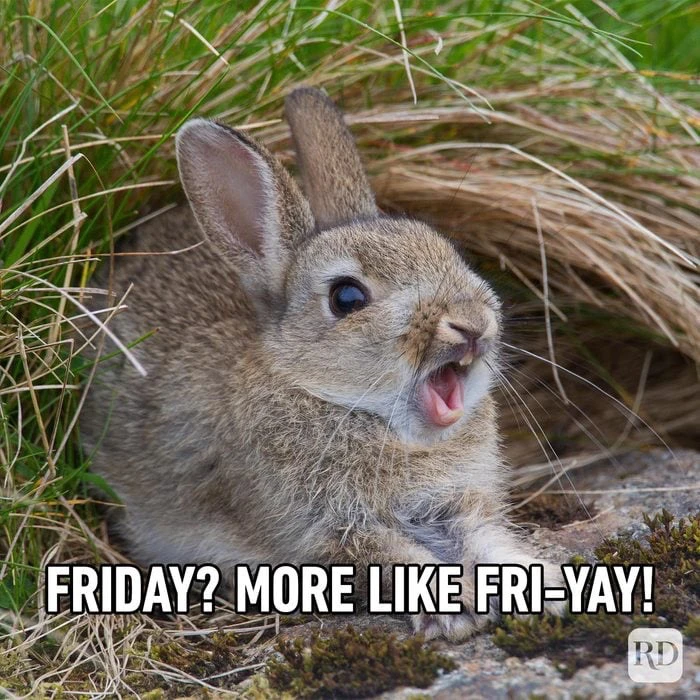 GIF uploaded by Heidi