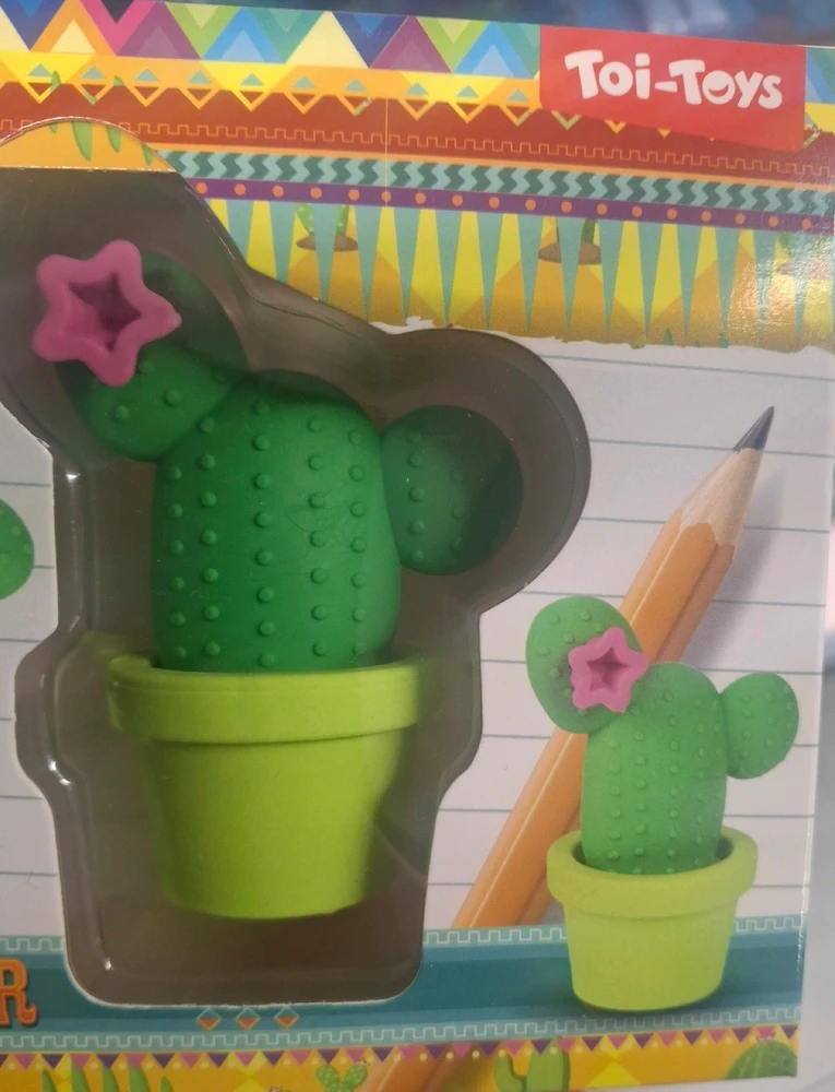 My beautiful cactus