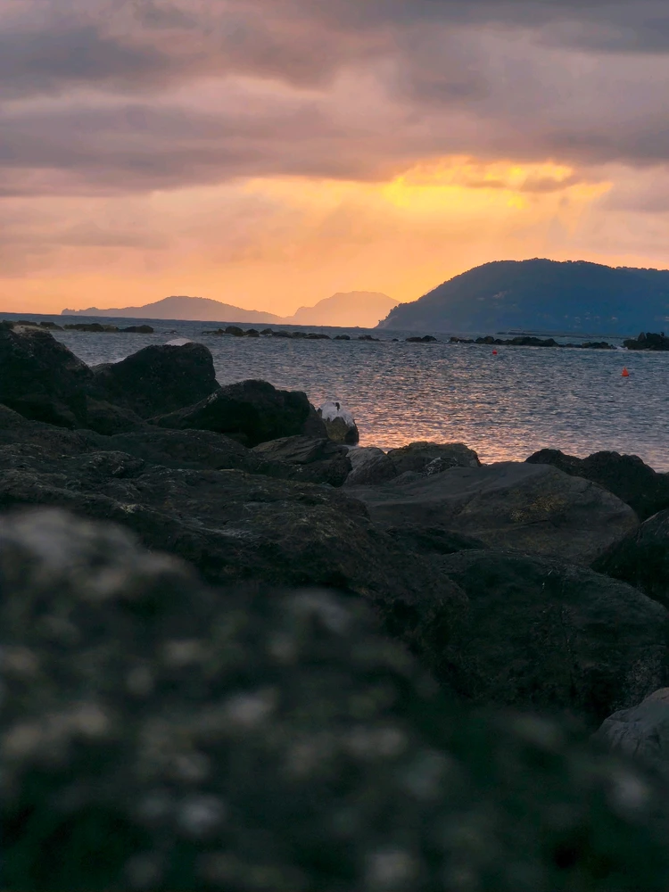 Image uploaded by Renato