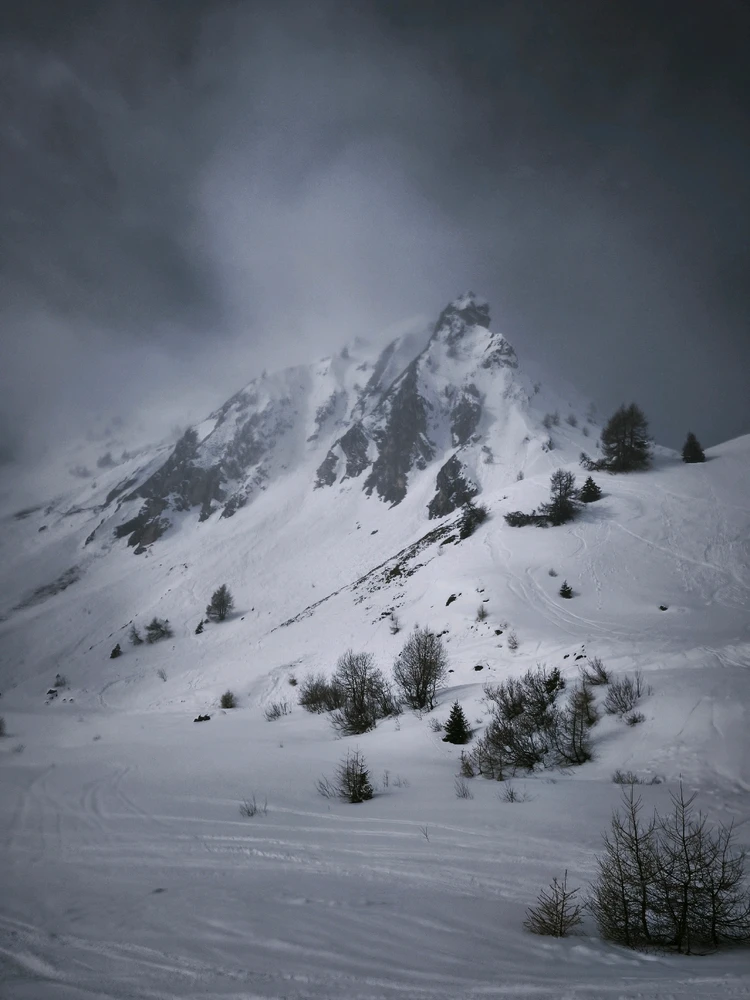 Image uploaded by Renato