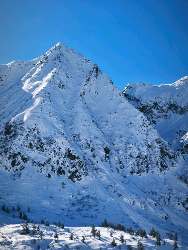 Image uploaded by Renato