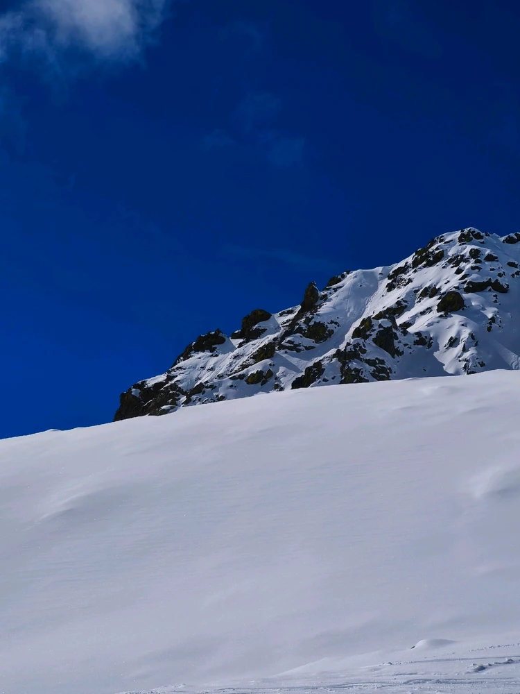 Image uploaded by Renato