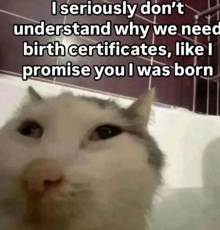 GIF hochgeladen von Roman