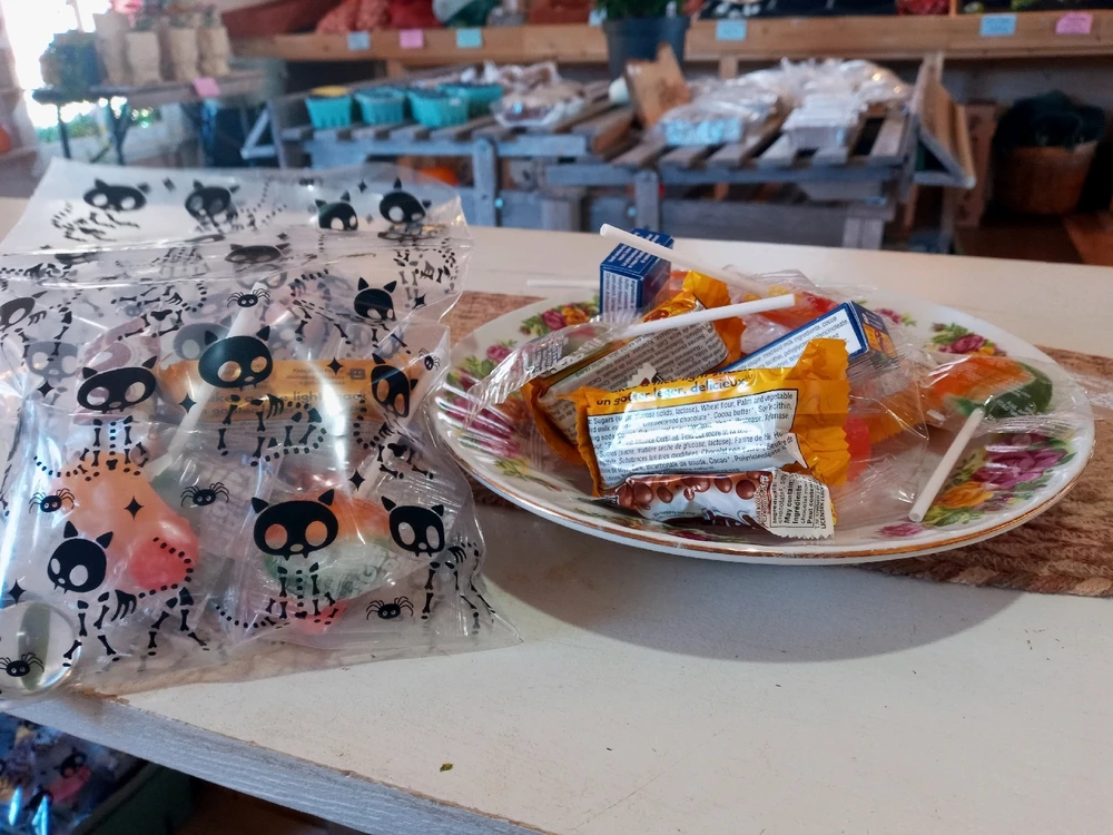 GIF uploaded by Brooke