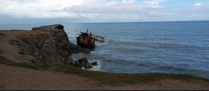 Image uploaded by Jess