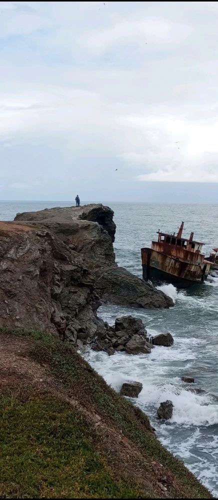 Image uploaded by Jess