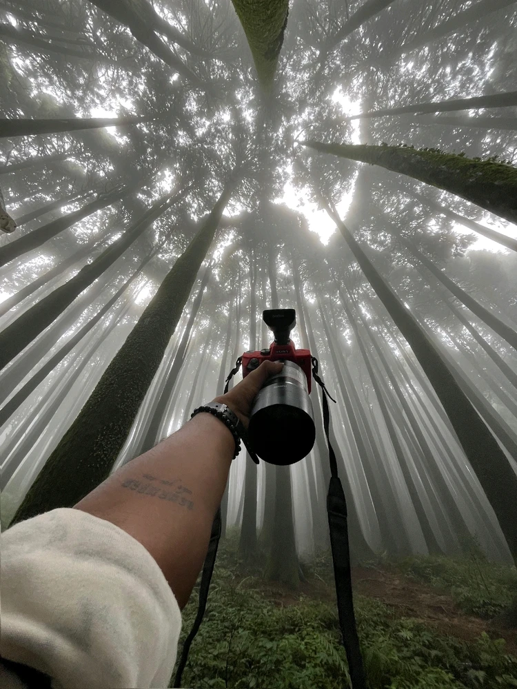 Image uploaded by Deep Malakar