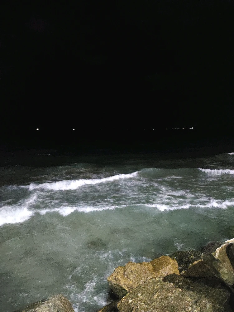 GIF uploaded by samy