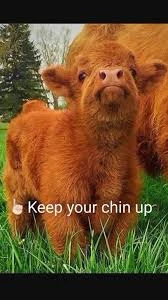 π«Άπ»π₯°π€β¨ππ»