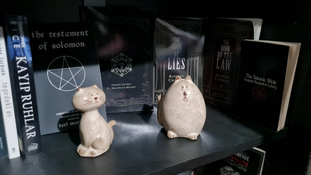 My horror section in my library 🙏🏻