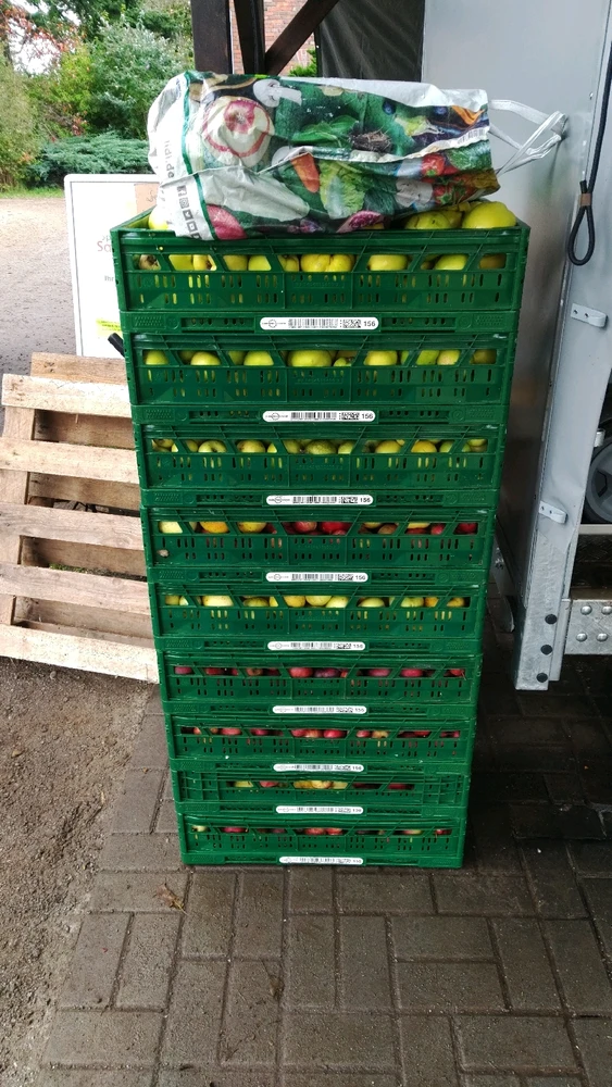 GIF hochgeladen von Tony (hat fleischigen Tauchsieder)