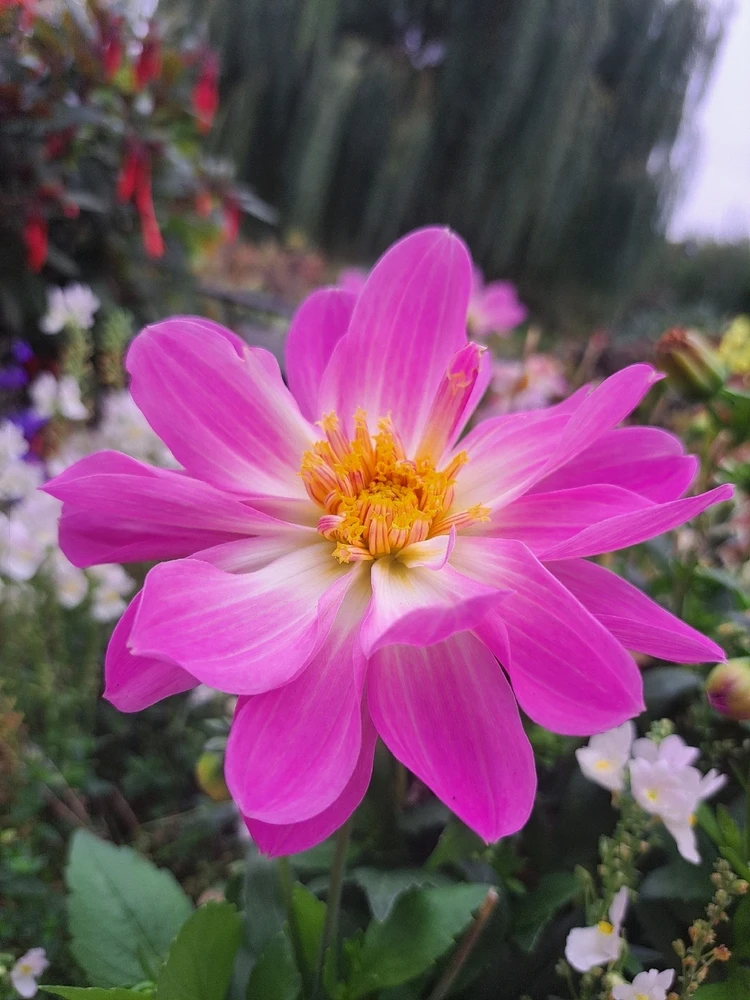 GIF uploaded by JD