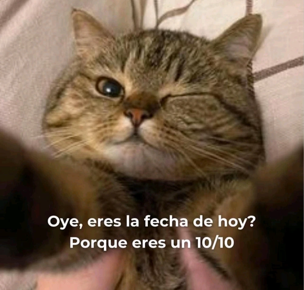 GIF subido por Oz