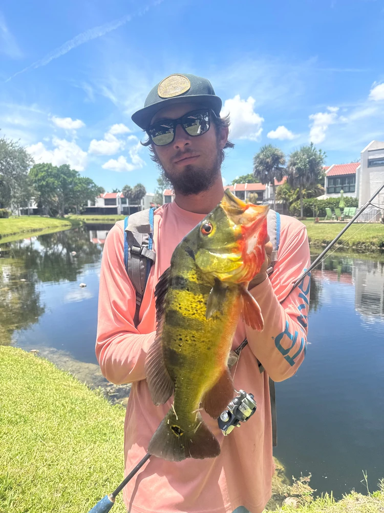 GIF uploaded by Donovan