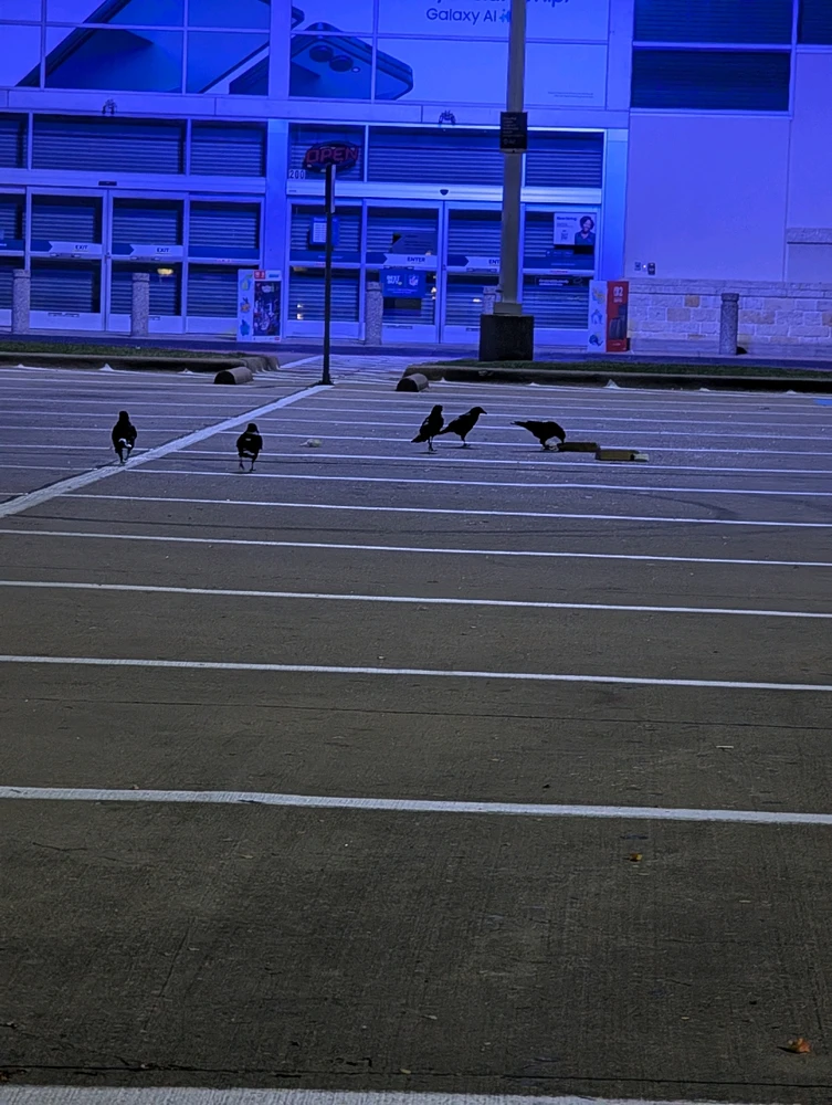 صورة رفعها Raven