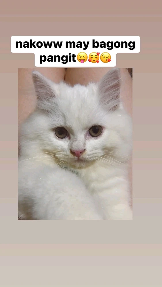 GIF gi-upload ni Zia_