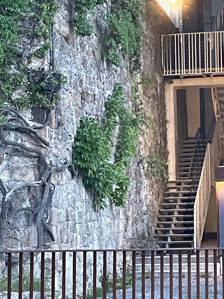 Bild hochgeladen von Beige