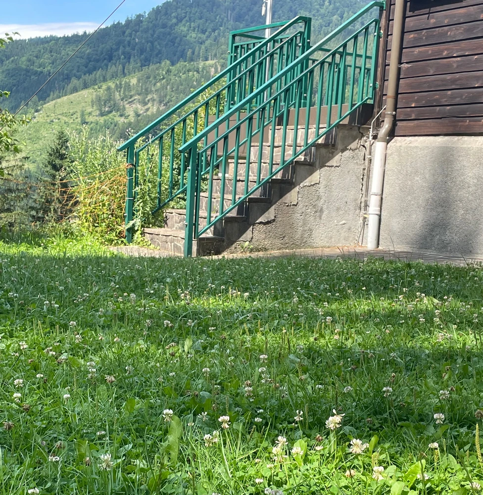 Bild hochgeladen von Beige