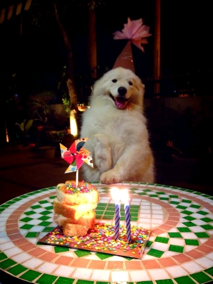 GIF diunggah dening Kai Hunter