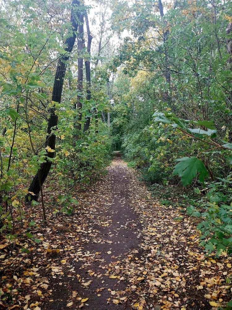 GIF hochgeladen von Thomas