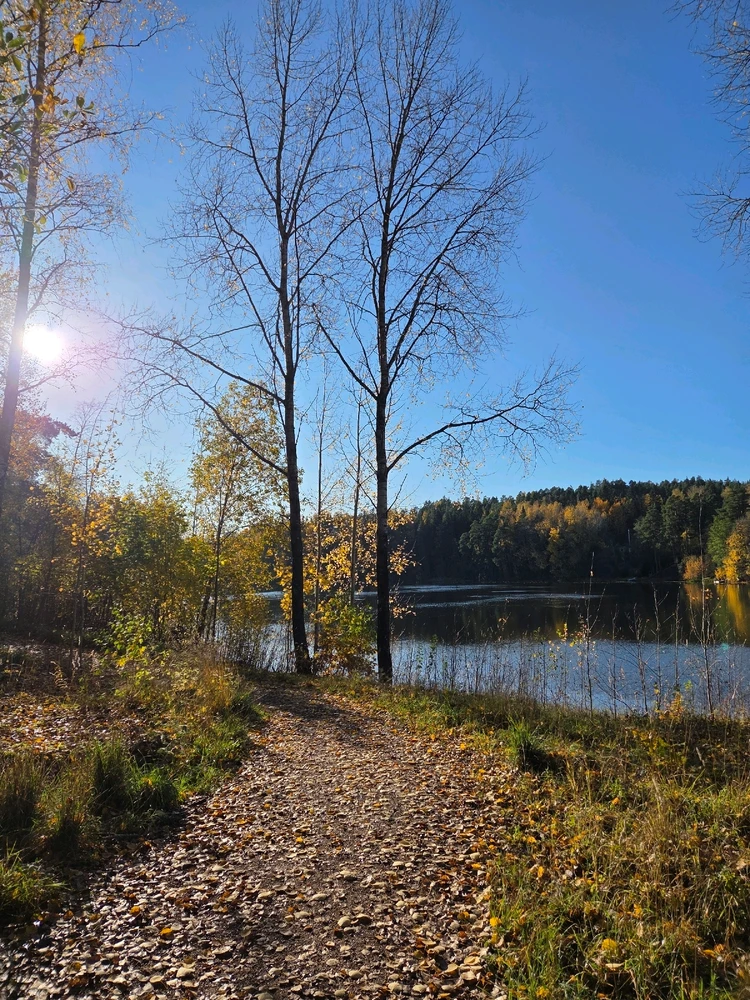 GIF uploaded by Aurora