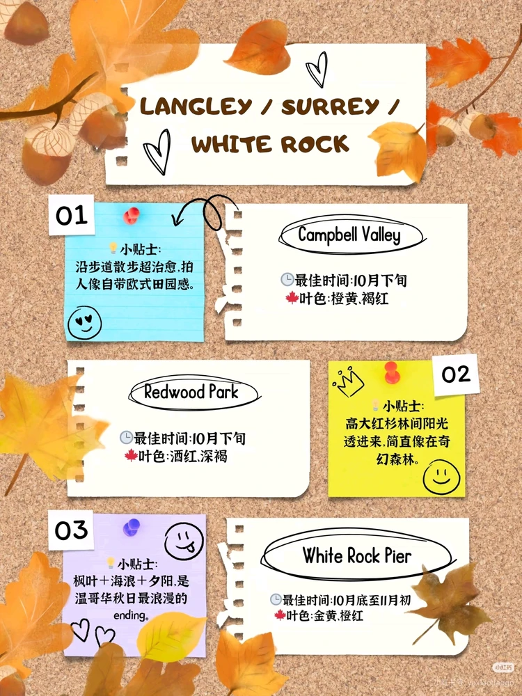 Image uploaded by Paloma