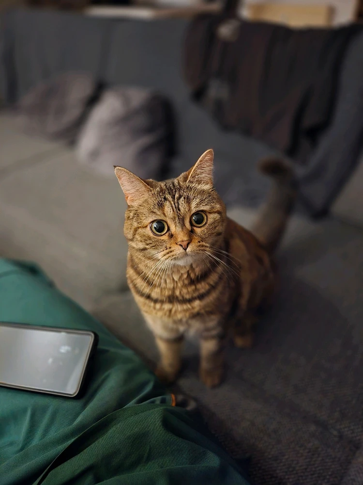 GIF hochgeladen von Jan