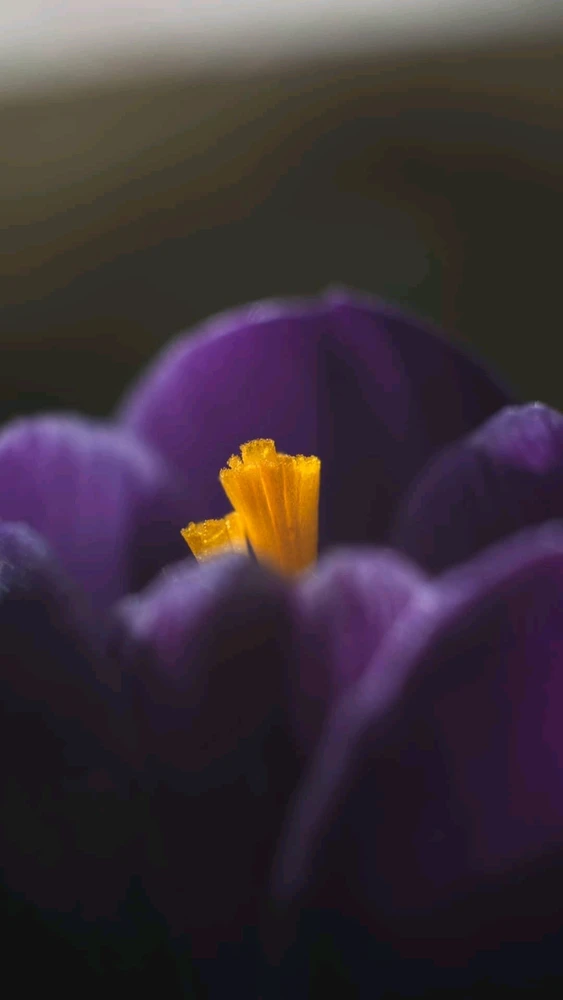 GIF caricata da Enrico