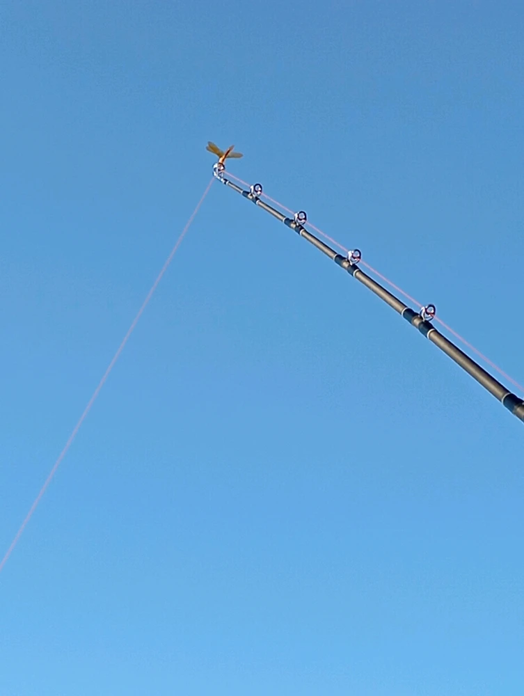 Imagen subida por Fabricio Silvera