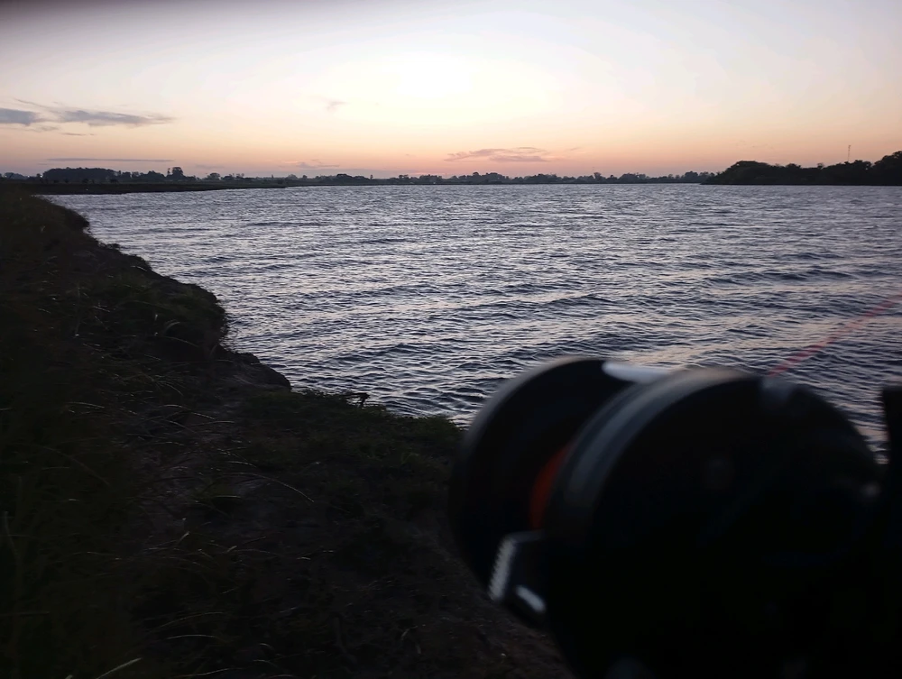 Imagen subida por Fabricio Silvera